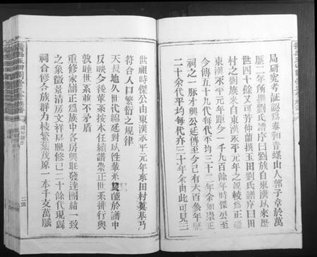 江西刘氏族谱-赣县玉田刘崇正堂族谱.pdf电子版插图4