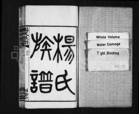 湖南杨氏族谱-杨氏族谱 [共52卷].pdf电子版插图2