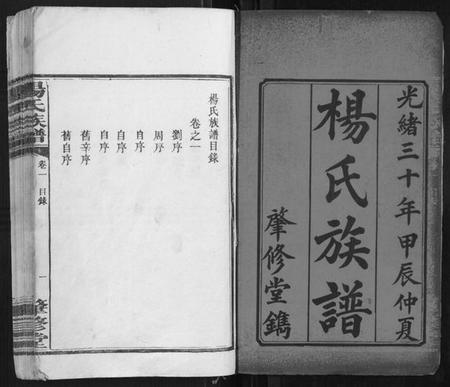 湖南杨氏族谱-杨氏族谱[8卷].pdf电子版插图1