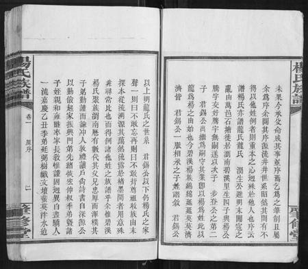 湖南杨氏族谱-杨氏族谱[8卷].pdf电子版插图5