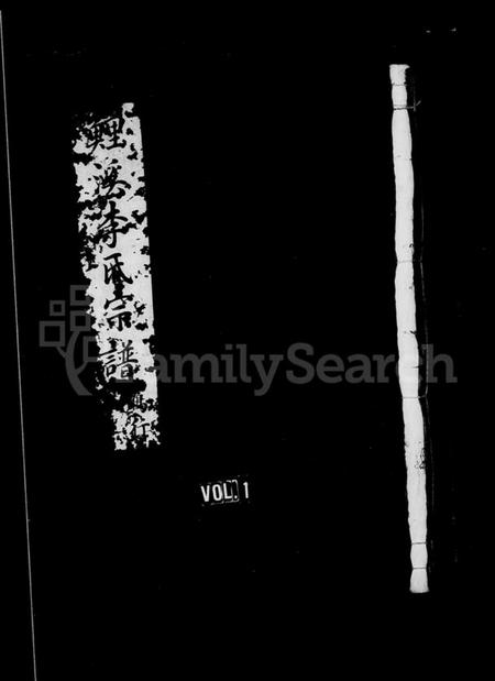 浙江李氏族谱-鲤溪李氏宗谱.pdf电子版插图1