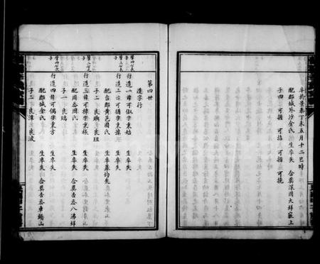 浙江李氏族谱-鲤溪李氏宗谱.pdf电子版插图5