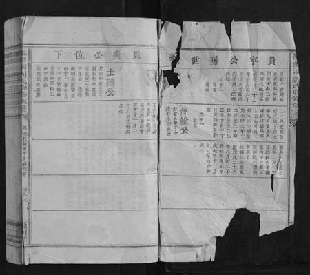 江西刘氏族谱-龙兴祠刘氏联修族谱.pdf电子版插图1