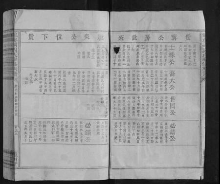 江西刘氏族谱-龙兴祠刘氏联修族谱.pdf电子版插图2