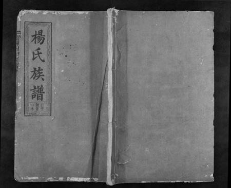 湖南杨氏族谱-浏东杨氏族谱[4卷].pdf电子版