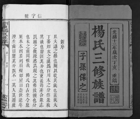 湖南杨氏族谱-浏东杨氏族谱[4卷].pdf电子版插图1