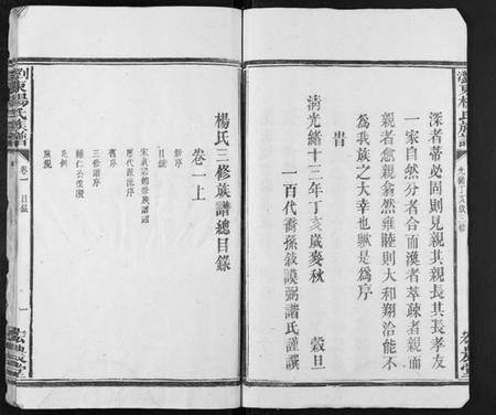 湖南杨氏族谱-浏东杨氏族谱[4卷].pdf电子版插图3