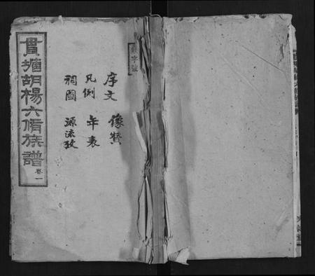 湖南杨氏族谱-贯塘胡杨六修族谱[22卷].pdf电子版