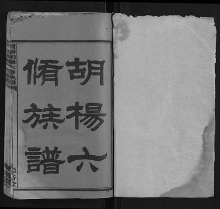 湖南杨氏族谱-贯塘胡杨六修族谱[22卷].pdf电子版插图1