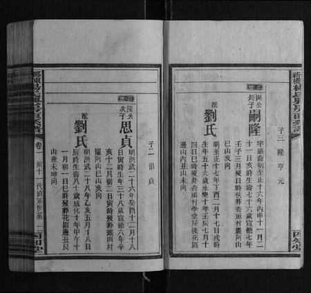 湖南杨氏族谱-邵东新桥杨氏兴房直系谱[8卷首1卷].pdf电子版插图2