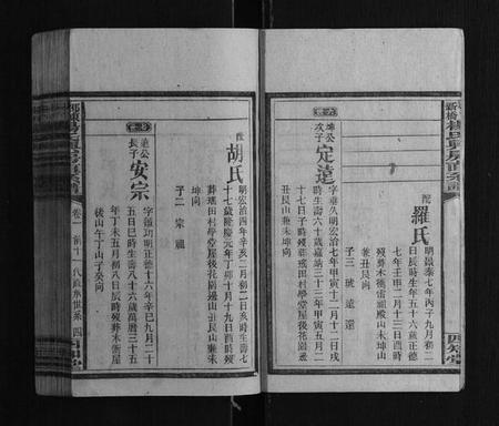 湖南杨氏族谱-邵东新桥杨氏兴房直系谱[8卷首1卷].pdf电子版插图4