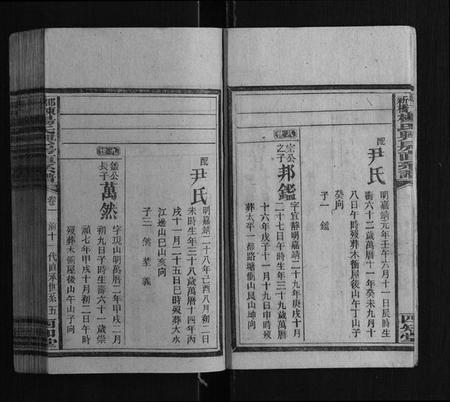 湖南杨氏族谱-邵东新桥杨氏兴房直系谱[8卷首1卷].pdf电子版插图5