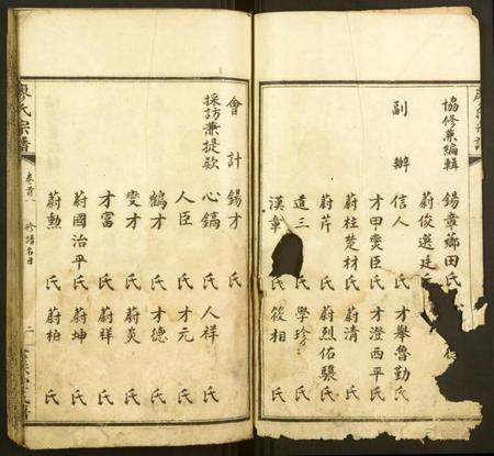 湖北廖氏族谱-廖氏宗谱.pdf电子版插图2