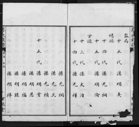 湖北廖氏族谱-廖氏族谱.pdf电子版插图4