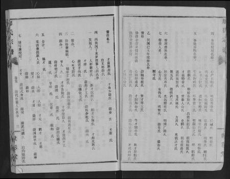 湖北廖氏族谱-廖氏宗谱 [10卷,及卷首].pdf电子版插图5