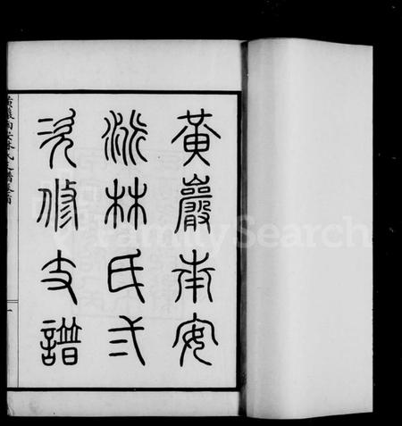 浙江林氏族谱-黄岩南安林氏支谱 [5卷,含卷首末].pdf电子版插图2