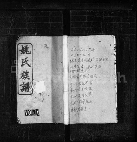 湖南姚氏族谱-姚氏族谱 [10卷].pdf电子版插图1