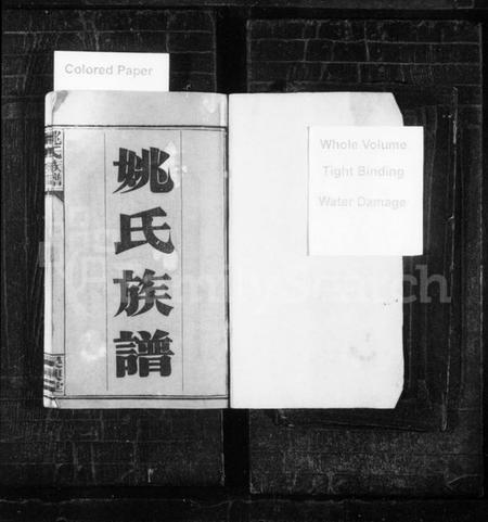 湖南姚氏族谱-姚氏族谱 [10卷].pdf电子版插图2