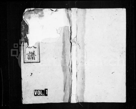 湖南姚氏族谱-姚氏族谱 [28卷,首3卷].pdf电子版插图1