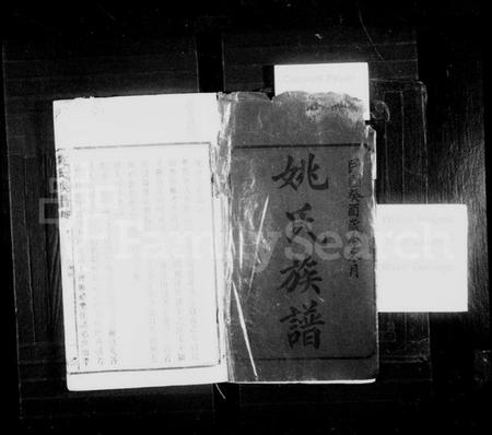 湖南姚氏族谱-姚氏族谱 [28卷,首3卷].pdf电子版插图2