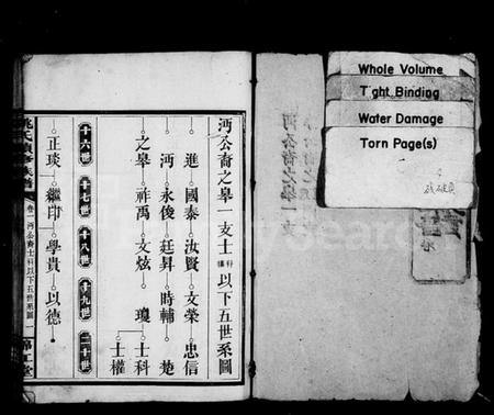 湖南姚氏族谱-姚氏续修族谱 [20卷].pdf电子版插图2