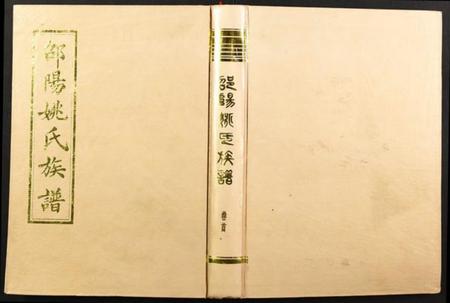 湖南姚氏族谱-邵阳姚氏族谱.pdf电子版