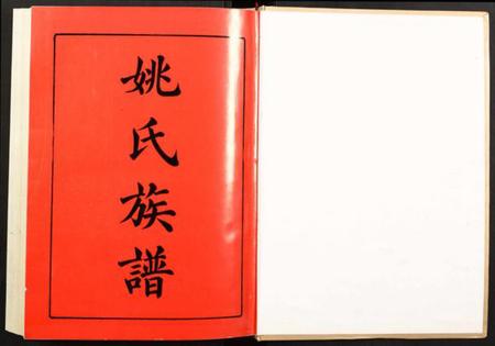 湖南姚氏族谱-邵阳姚氏族谱.pdf电子版插图1