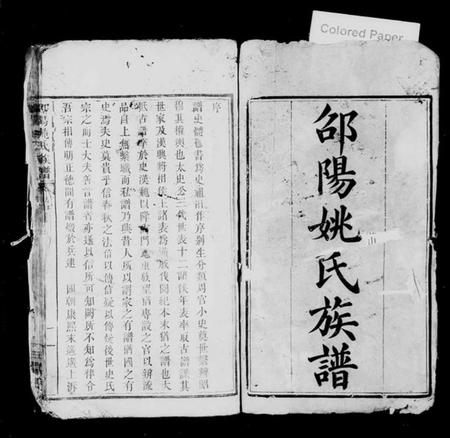 湖南姚氏族谱-邵阳姚氏族谱 [24卷,首末各1卷].pdf电子版插图2