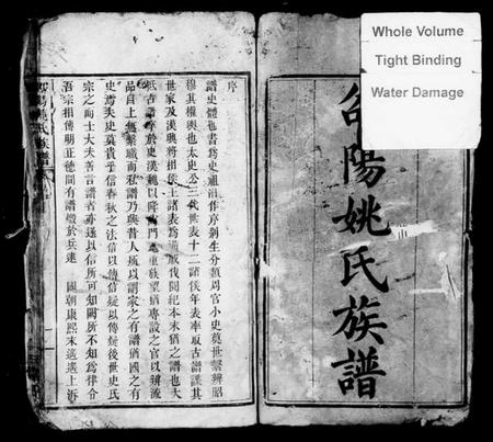 湖南姚氏族谱-邵阳姚氏族谱 [24卷,首末各1卷].pdf电子版插图3