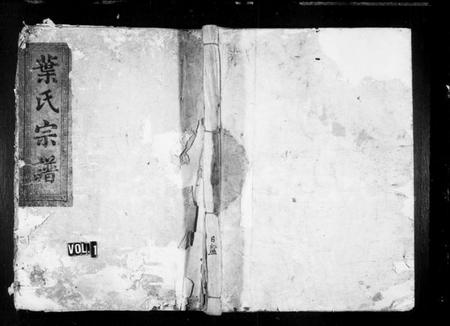 湖南叶氏族谱-叶氏宗谱.pdf电子版插图1