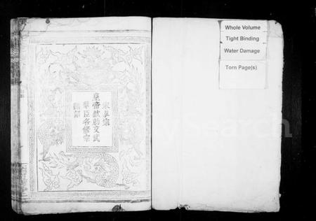 湖南叶氏族谱-叶氏宗谱.pdf电子版插图2