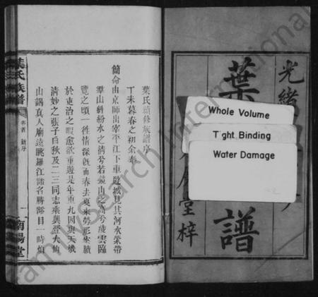 湖南叶氏族谱-叶氏族谱 [14卷,及卷首].pdf电子版插图3