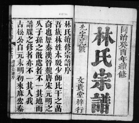 湖北林氏族谱-林氏宗谱 [10卷,首1卷].pdf电子版插图1