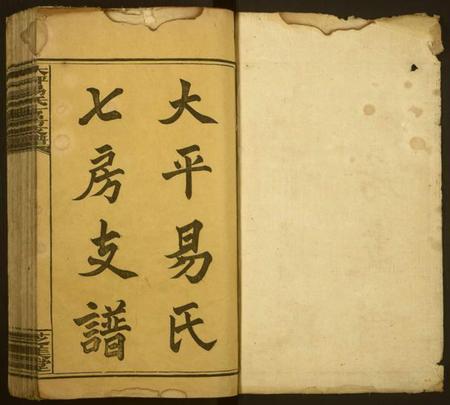 湖南易氏族谱-大坪易氏七房支谱.pdf电子版插图1