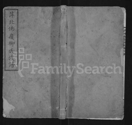 江西柳氏族谱-萍北佛岭柳氏族谱 [11卷,首3卷].pdf电子版