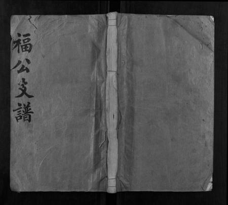 湖南易氏族谱-易氏支谱.pdf电子版