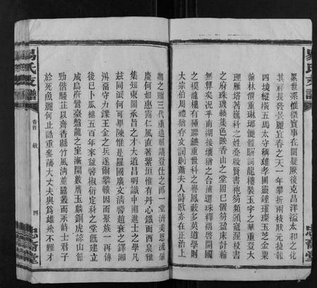 湖南易氏族谱-易氏支谱.pdf电子版插图4