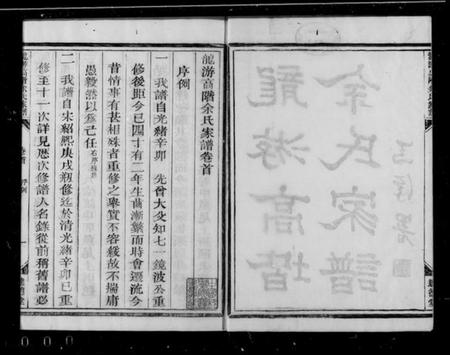 浙江余氏族谱-龙游高阶余氏家族 [17卷,首1卷].pdf电子版插图2