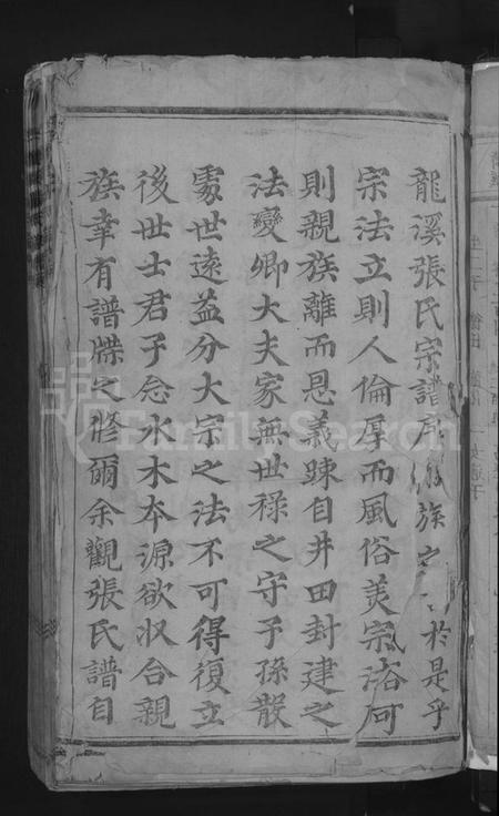 浙江张氏族谱-龙溪张氏宗谱.pdf电子版插图3 浙江张氏族谱-龙溪张氏宗谱.pdf电子版插图3