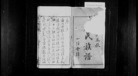 湖南尹氏族谱-上湘尹氏续修族谱 [10卷].pdf电子版插图2