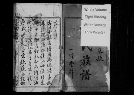 湖南尹氏族谱-上湘尹氏续修族谱 [10卷].pdf电子版插图3