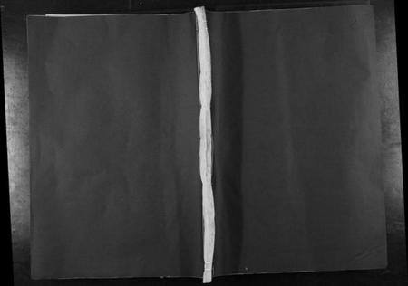 江西卢氏族谱-宁都麻田卢氏民籍十一修族谱[不分卷].pdf电子版