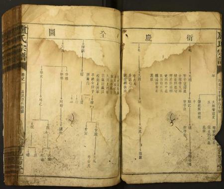 江西卢氏族谱-卢氏宗谱.pdf电子版插图5