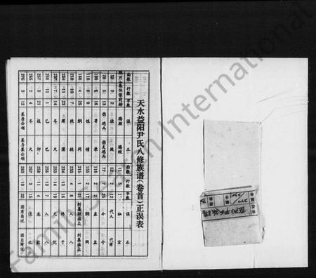 湖南尹氏族谱-天水益阳尹氏八修族谱 [4卷,首1卷].pdf电子版插图2