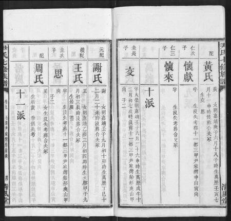 湖南尹氏族谱-尹氏七修族谱 [38卷,首末各1卷].pdf电子版插图4