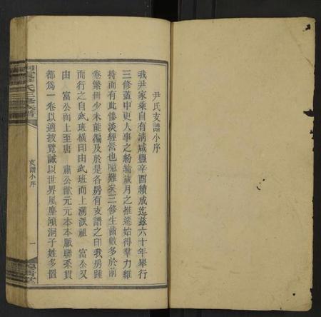 湖南尹氏族谱-洞霞尹氏三修族谱 [残卷].pdf电子版插图1