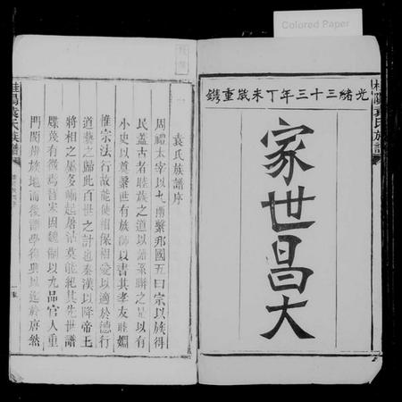 湖南袁氏族谱-桂阳袁氏族谱 [不分卷].pdf电子版插图2