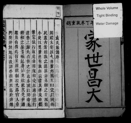 湖南袁氏族谱-桂阳袁氏族谱 [不分卷].pdf电子版插图3