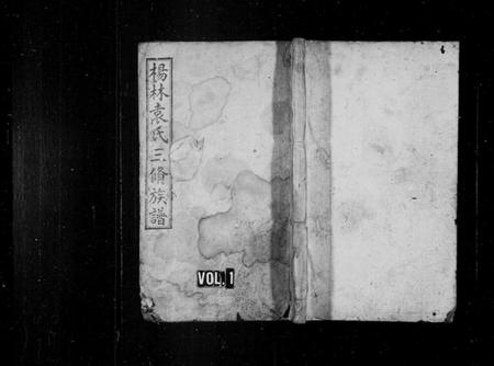 湖南袁氏族谱-杨林袁氏三修族谱 [14卷,首2卷,附录1卷].pdf电子版插图1