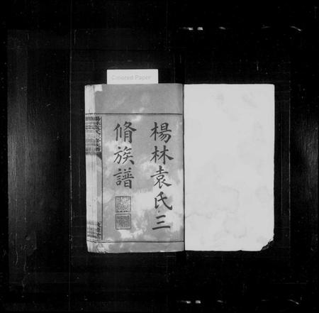 湖南袁氏族谱-杨林袁氏三修族谱 [14卷,首2卷,附录1卷].pdf电子版插图2